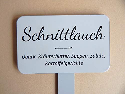 Pflanzenstecker Kräuterschild Schnittlauch für Beet und Topf Aluverbund 120x75mm