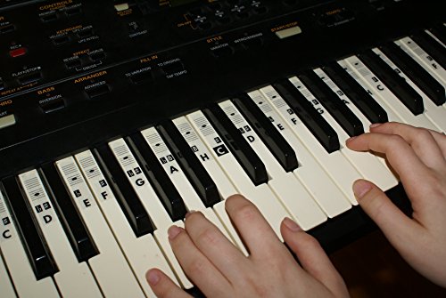 Piano Klavier Keyboard Noten Aufkleber Stickers C-D-E-F-G-A-H + neue...