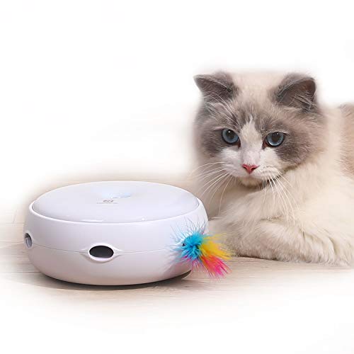 PETTOM Interaktives Katzen-Teaser-Spielzeug Intelligentes Kätzchenspielzeug Elektronisches Auto-Zufalls-Drehfeder, DREI Modi...