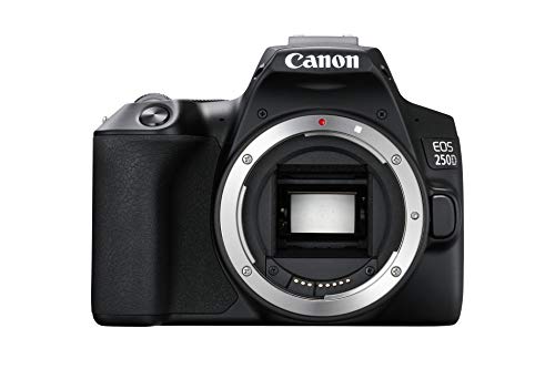Canon EOS 250D Digitale Spiegelreflexkamera Gehäuse Body (24, 1...