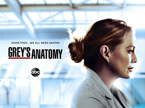 Grey's Anatomy - Season 17 [OmU]