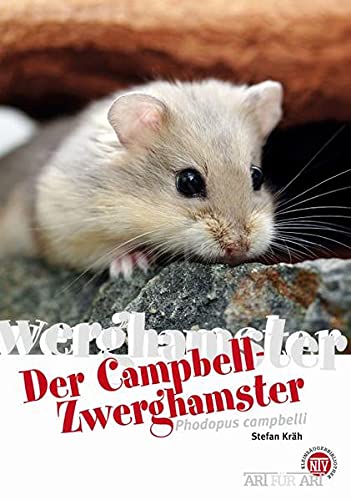 Der Campbell-Zwerghamster: Phodopus campbelli (Art für Art: Kleinsäuger)