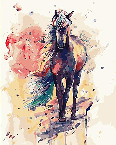 Malen Nach Zahlen Pferde, DIY Ölgemälde Vorgedruckt Leinwand, Paint...
