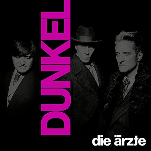 Dunkel (Ltd. Doppelvinyl im Schuber mit Girlande) [Vinyl LP]