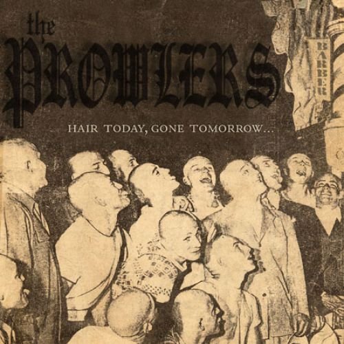 Hair Today, Gone Tomorrow [Vinyl LP]